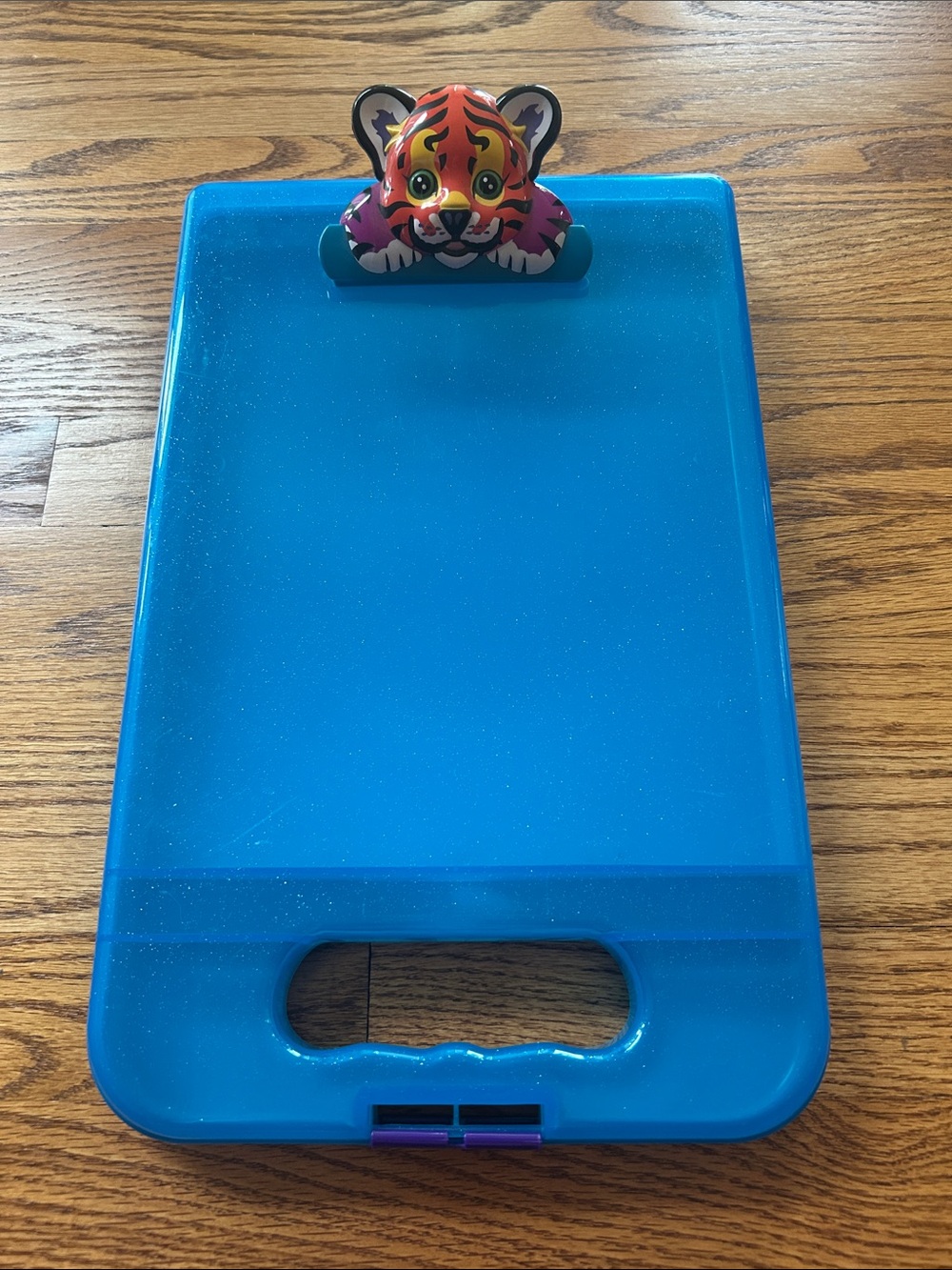 Lisa Frank Vintage Clipboard